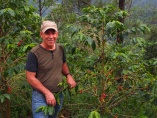 伝統に安住したドミニカコーヒーが陥った衰退とある農園の挑戦