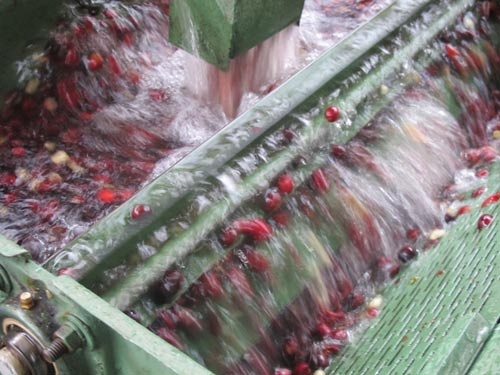 丁寧に洗ってクリーンに仕上げる