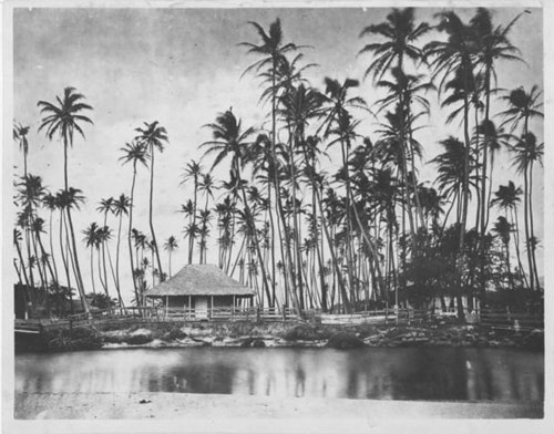 カメハメハ5世の別荘。この場所には現在、ザ・ロイヤル・ハワイアンがある（写真：Hawaii State Archives PP-32-1-006）
