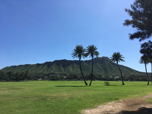 現在のカピオラニ公園。巨大な広場では、スポーツの練習が行われている