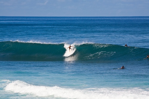 ハワイの波に乗るサーファー（写真：Hawaii Tourism Authority（HTA）/ Tor Johnson）