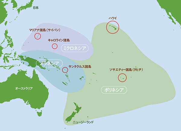人は絶海の孤島ハワイへどう渡った ホクレア号が実証した古代航海術