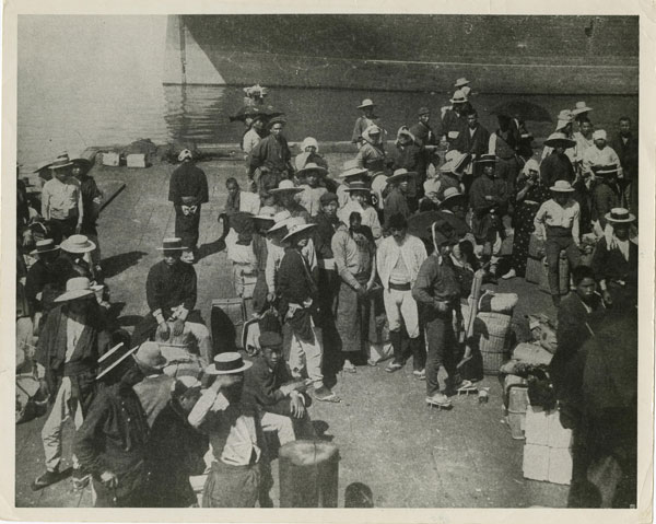 沖縄移民とハワイ 苦難越え築いた125年の強いつながり：日経ビジネス電子版