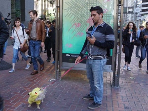 写真10●ピカチュウ犬と参加したプレーヤー