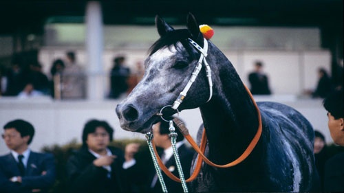 1988年、中央デビューしたオグリキャップは6連勝、有馬記念も制した(©︎JRA)