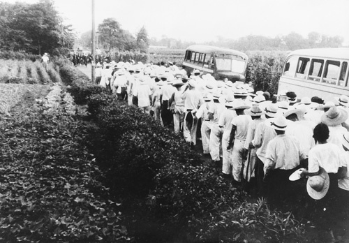 「らい予防法」はハンセン病患者に対し、療養施設への隔離など人としての尊厳を無視した施策を定めていた。写真は施設の劣悪な環境の改善や人権の尊重を訴えて抗議活動をするために所沢街道を歩く多磨全生園(東京都東村山市)の入所者たちと、立ちはだかる警官隊(国立ハンセン病資料館収蔵)
