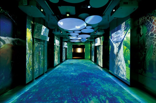 床や天井にも レーザープロジェクターで 投映できる<br />●セイコーエプソン本社 エレベーターホールの様子
