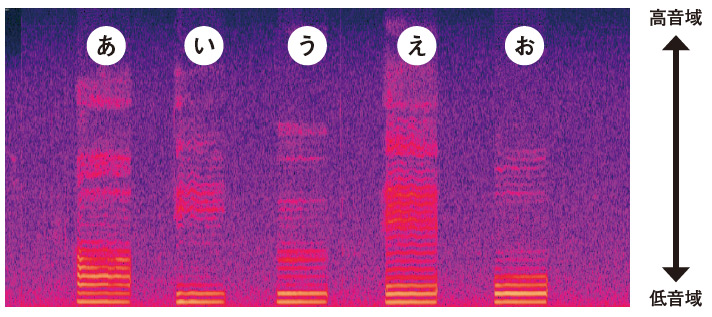五十音にはそれぞれ特徴がある<br />●音域ごとの音量を可視化した分析図