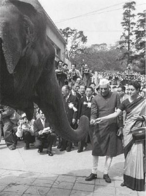 1957年、ネルー首相と娘のインディラ・ガンジーが上野動物園を訪問し、自ら贈った象のインディラと対面した。（写真：日印協会所蔵）