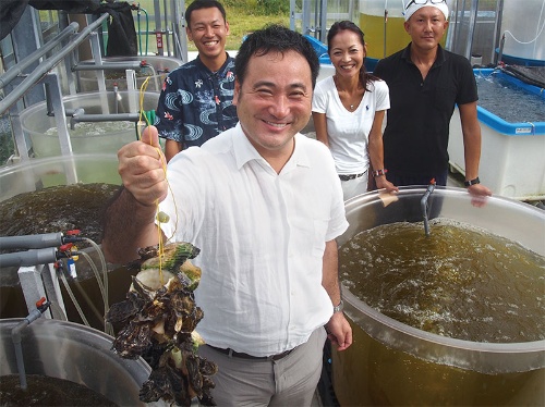 陸上だけでカキを育てるのに成功した<br><span>●沖縄・久米島のゼネラル・オイスター養殖設備</span>