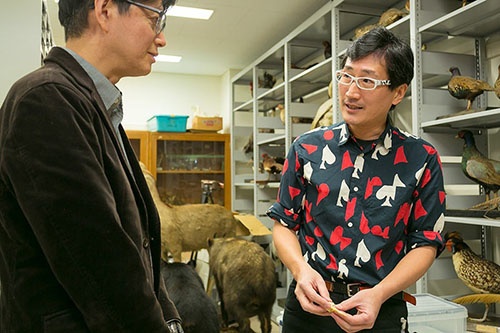 鳥の標本室に入り、ますます言葉に熱がこもる森林総合研究所主任研究員の川上和人さん。