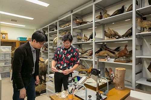 「こういうのを見ているだけでも、僕は楽しくてしょうがないんです」と川上さん。背景に並ぶ標本は研究用ではなく展示のためのもの。
