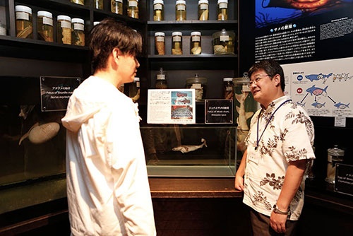 「サメ博士の部屋」にある繁殖について展示・解説する一角。ここにも貴重な標本が並べられている。沖縄美ら海水族館ならではの充実ぶりだ。