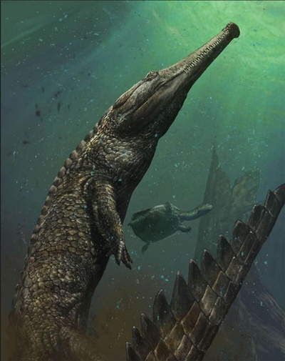 マキモサウルス・レックスの想像図(「<a href="http://natgeo.nikkeibp.co.jp/atcl/news/16/011300011/" target="_blank">史上最大の海生ワニの化石を発見、チュニジア</a>」より)(ILLUSTRATION BY DAVIDE BONADONNA)