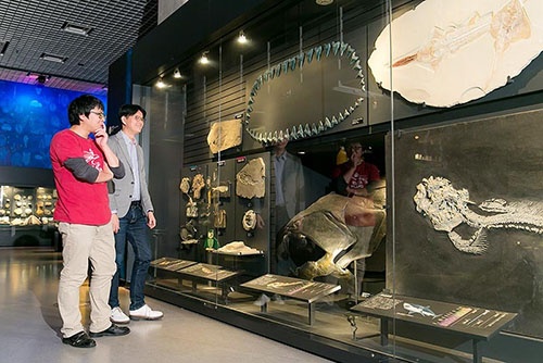 国立科学博物館の魚の化石を前で、その進化の不思議について説明してくれた。宮下さんは2016年夏に開催された特別展「海のハンター展」の脊椎動物の顎の進化の展示にも協力していた。(撮影協力:国立科学博物館)