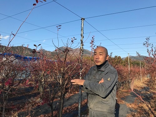 伊藤隆弘さんのブルーベリー畑(神奈川県秦野市)
