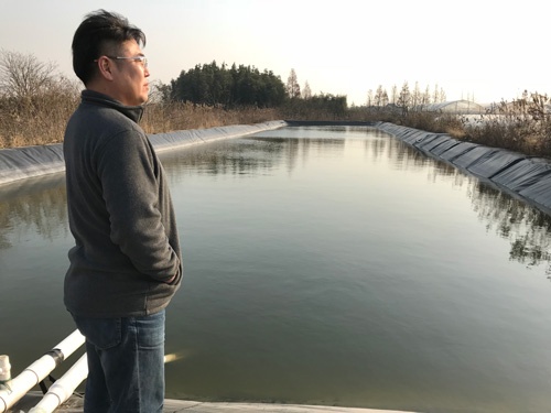 栽培に使う水をためる貯水池(上海市奉賢区)