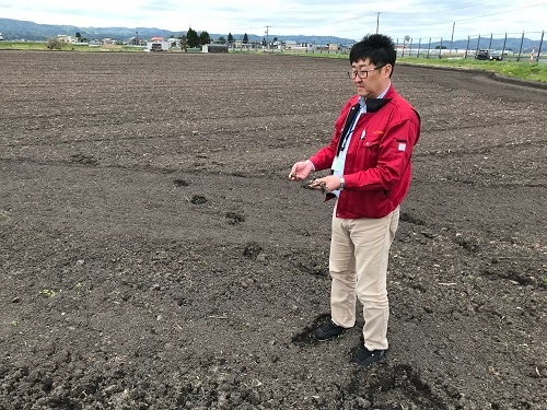 トウモロコシ畑から今年、稲作に変えた田んぼ(秋田県横手市)