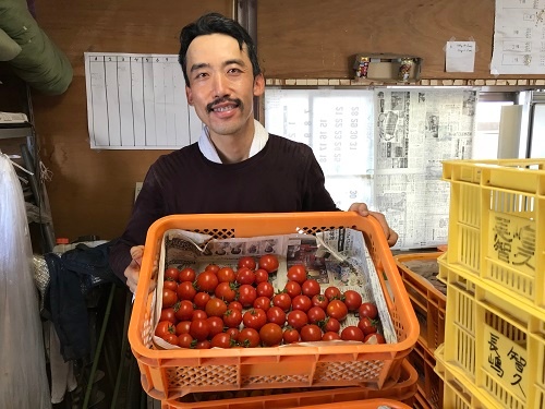 トマトの収量が安定し、時間に余裕ができた(宇都宮市)