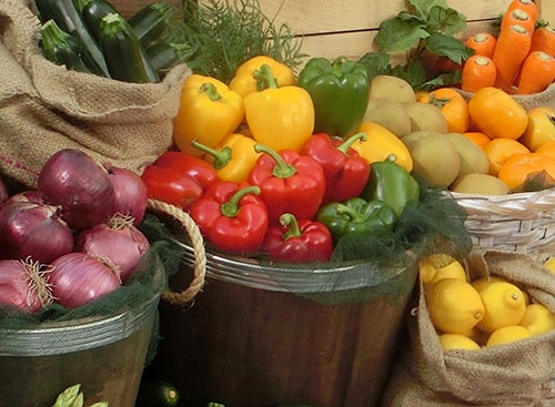 農産物を支えるのは農家の栽培技術。企業でも簡単には追い抜けない。