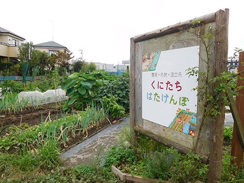 小野氏が運営するイベント農園「くにたち はたけんぼ」。都市農地は日本の価値だ(国立市)