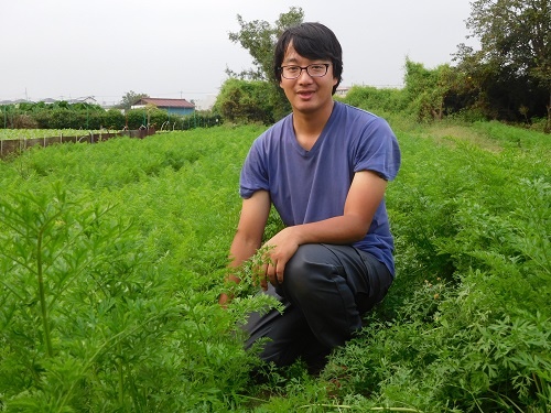 ベテラン農家から臨機応変の栽培技術を学ぶ井上祐輔さん(東京都瑞穂町)