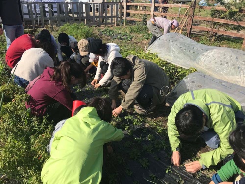 農作業でストレスが軽減する(国立市)