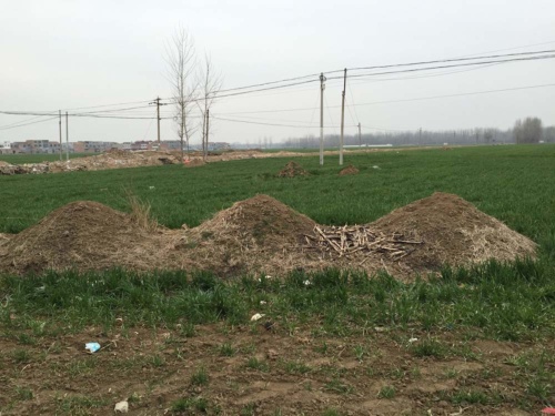 家族の墓。畑の片隅にある。土まんじゅうを盛り上げた土葬だ（河南省・2015年）