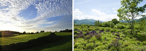 2008年清水町に開園した「十勝千年の森」。イギリスの園芸家ダン・ピアソンが設計した（左）アース・ガーデン（大地の庭）、（右）メドウ・ガーデン（野の花の庭）は英国のガーデンデザイナーズ協会「グランプリアワード2012」受賞（画像提供=北海道ガーデン街道）
