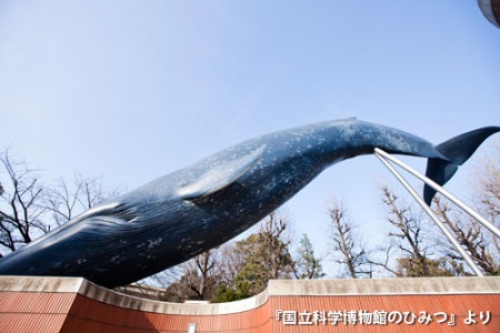 (写真:高岡 弘、以下同)