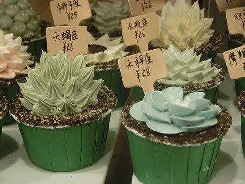 上海で人気の多肉植物を模したケーキ。「癒されたい」若者の間で、SNSによって瞬く間に拡散された