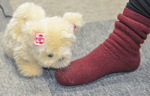 <span class="fontBold">北九州高専発ベンチャーが開発したにおいを検知する犬型ロボット「はなちゃん」</span>