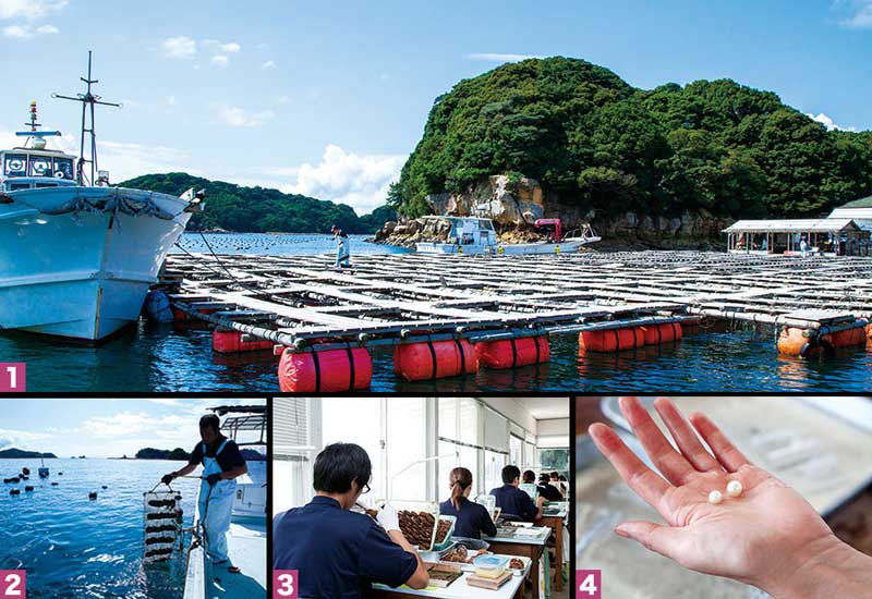 <b>［1］長崎・九十九島の養殖基地。「病院」とも呼ばれ、挿核前、直後のあこや貝が集められる。［2］挿核したあこや貝は、網に入れられ、沖に出される。［3］あこや貝の挿核は「手術」とも呼ばれる。真珠の品質を決める最も重要な工程だ。［4］貝から取り出された直後の真珠。養殖期間が長いほど巻きが厚く輝きは深い</b>（写真＝4点：笹山 明浩）