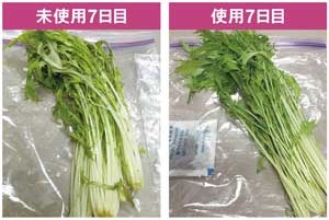<b>タンカフレッシュを使うことで、野菜はみずみずしさを保てるようになる</b>