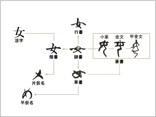 「書体変遷図」文字は、長い歳月をかけて形作られた、文化遺産(教育出版 平成二十年版『新編書道Ⅱ』を参考に木下が作成)