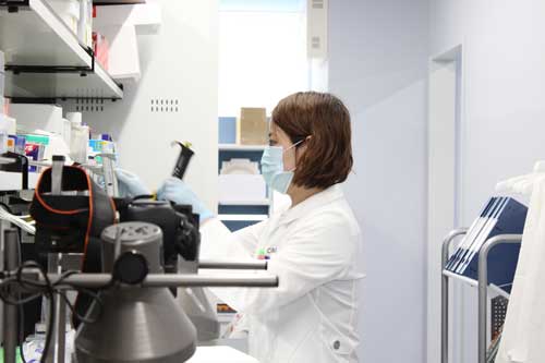 Ips細胞の発見から10年 難病薬の発見も進展 日経ビジネス電子版