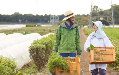 農業分野で働く外国人は「単純労働」それとも「特定技能」?(写真:PIXTA)