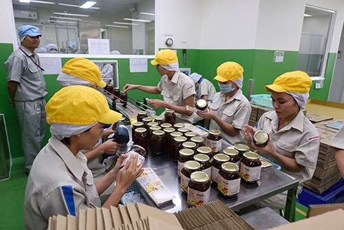 ビエンホア工場にある「うめちゃん」の製造ライン(写真:町川 秀人、以下同)