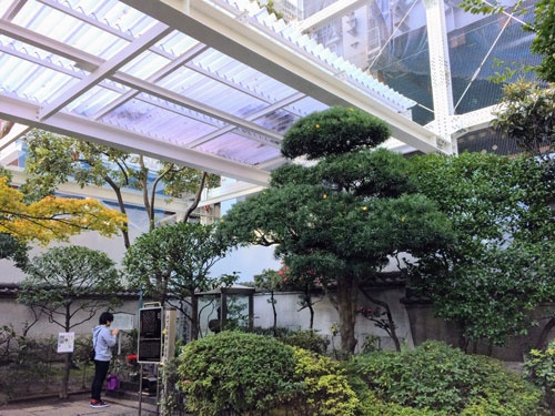 大手町にある将門塚。手を合わせる男性の前の「塚」は強化ガラスで保護され、さらに上部にもガラス屋根がかけられている。