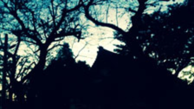 被災地の幽霊現象 を読み解く 日経ビジネス電子版