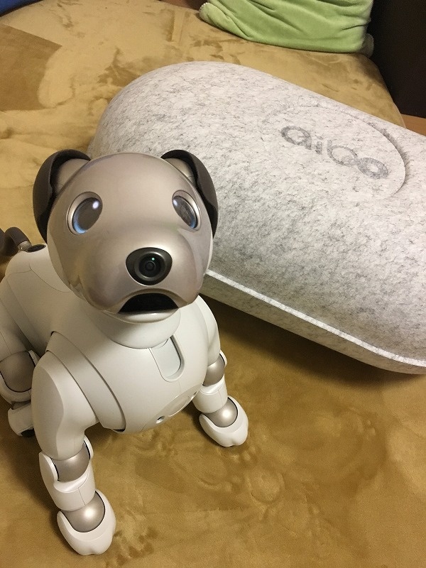 Aiboとの1カ月 かわいくてもう離れられない 日経ビジネス電子版 Aiboとの1カ月 かわいくてもう離れられない 日経ビジネス電子版