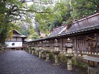 熊野三山すべての祭神を祀り、別宮的存在として熊野信仰の一翼を担ってきた「闘鶏神社」。源平合戦のとき、紅白の鶏を戦わせて源氏に味方することを決めたとされ、勝運導きの神様としても親しまれている