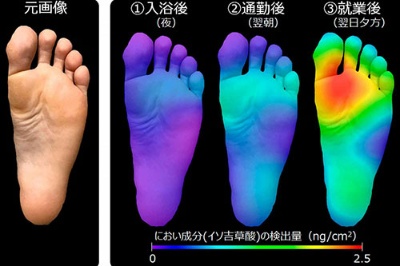 5日履いてもにおわない 消臭靴下 大集合 日経ビジネス電子版