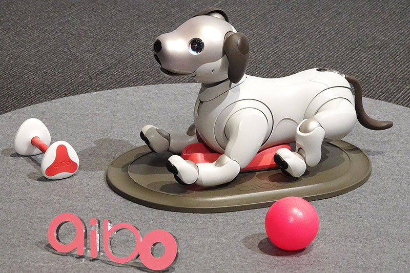 アイボ」復活 AIで表情豊かに、動きもリアル：日経ビジネス電子版