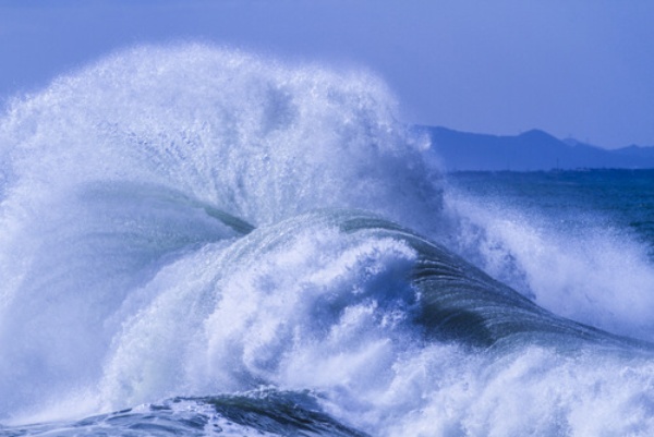 バブル世代 の上司 キライですか 日経ビジネス電子版 バブル世代 の上司 キライですか 日経ビジネス電子版