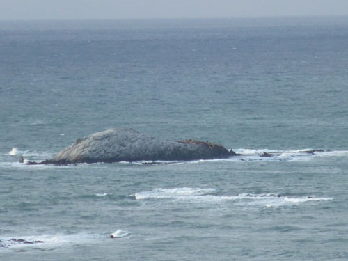 弁天島の様子。実質的にはこの島が最北端となる