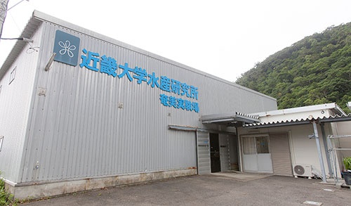 (上・下) 奄美実験場は鹿児島県奄美大島南部の瀬戸内町に位置する。沖合には、直径20~30mの巨大な円形の網いけすが並んでいる。