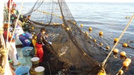 日本漁業のIT化が進まぬワケ