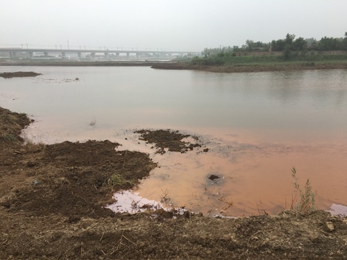 天津市佟家荘村の汚染された池