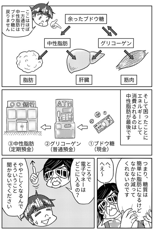 糖質ゼロで 人間は生きていけるのか 日経ビジネス電子版